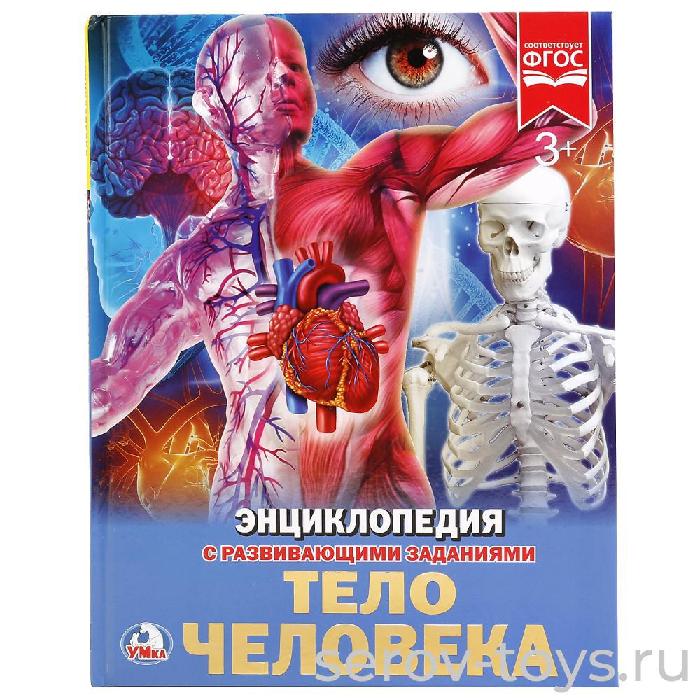 Книжка-энциклопедия Тело человека с заданиями Твердый переплет А4  Умка