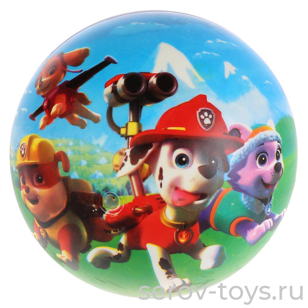 Мяч ПВХ 23см FD-9(PAW) Щенячий патруль в сетке Играем вместе
