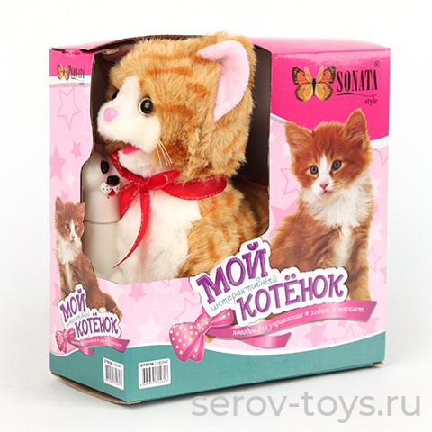 Кошка 9036 на д/у  ходит, мяучет в кор