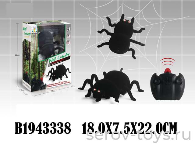 Паук р/у 0455 ползает по стене в кор