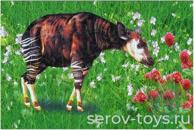 Пазл мягкие 24 эл. Редкие животные