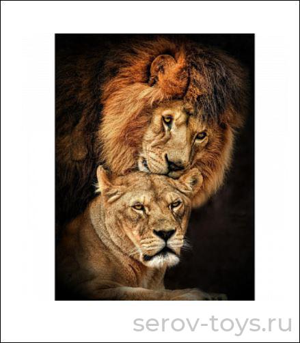 Набор ДТ Алмазная мозаика AS34043 Пара взрослых львов на подрамнике 30*40см Рыжий кот