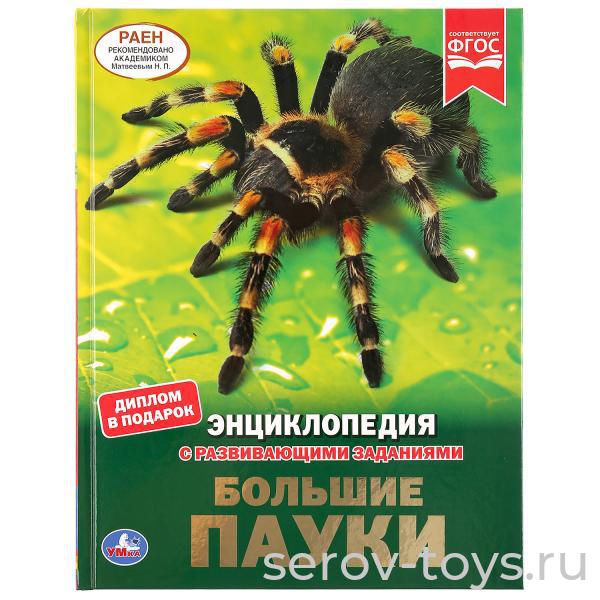 Книжка-энциклопедия Большие пауки с заданиями тверд переплет А4 Умка