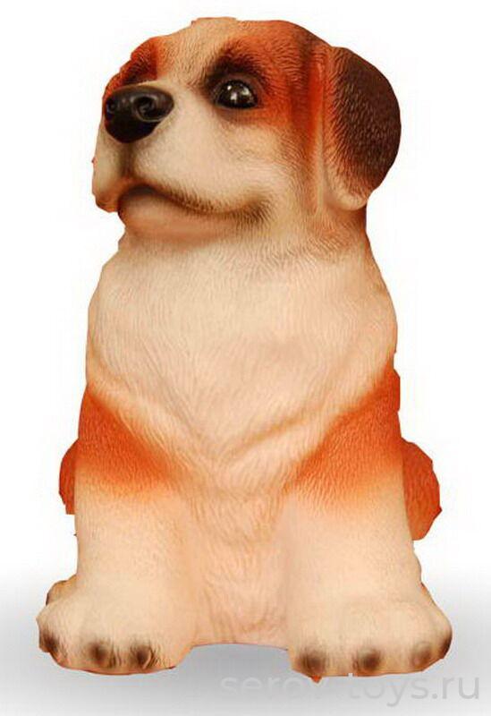 Рез. Сенбернар Гранд С-704 Огонек