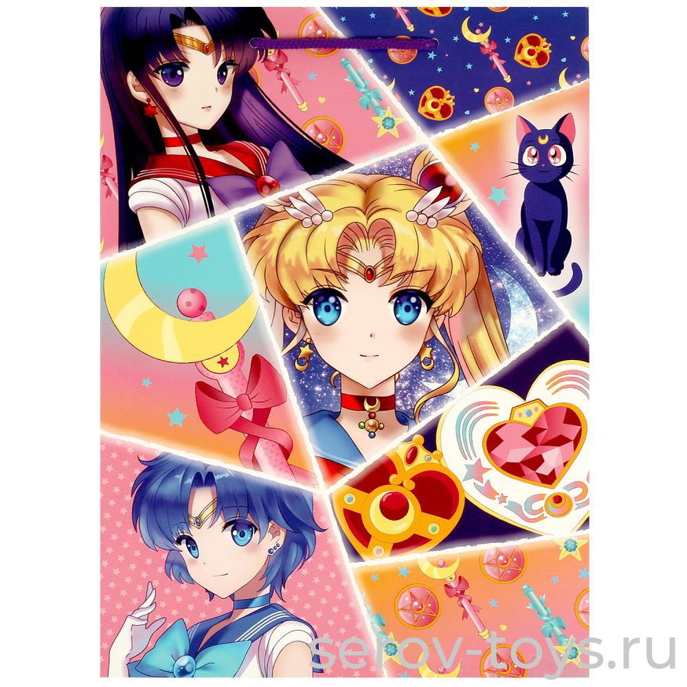 Пакет подарочный ML 22*31*10см глянцевый Чудо праздник