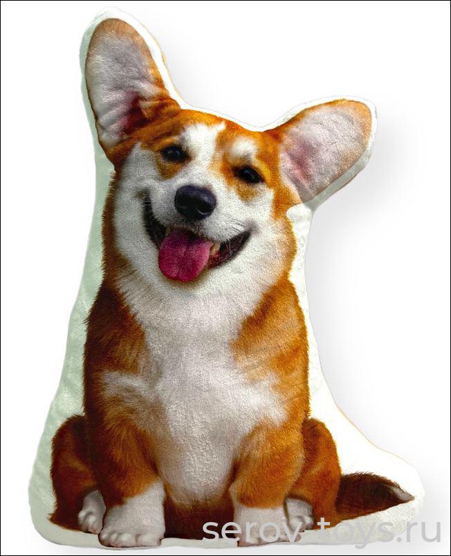 Собака Крымка 8.234.2 Корги Мальвина