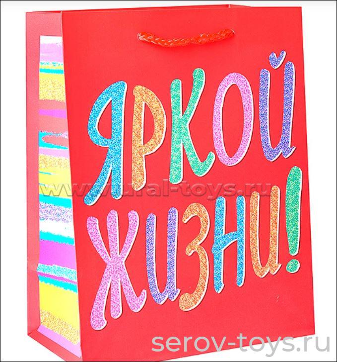 Пакет подарочный 18*23*10см Яркой жизни 87939