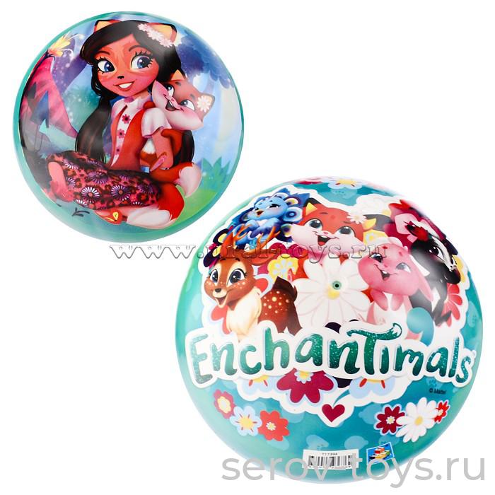 Мяч ПВХ 23см Т17394 Enchantimals в сетке