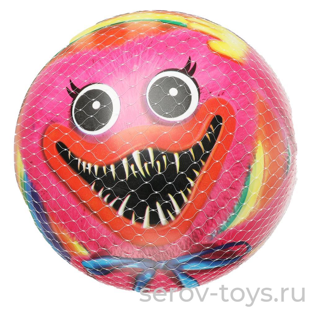 Мяч ПВХ 23см FD-9(HGVG) Хаги Ваги в сетке Играем вместе