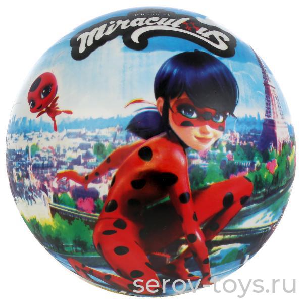 Мяч ПВХ 23см FD-9(LBUG) Ледибаг и Супер кот в сетке Играем вместе