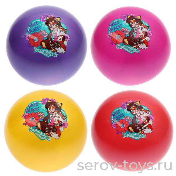 Мяч ПВХ 23см AD-9(EHMS) Enchantimals в сетке Цвет в ассорт  Играем вместе