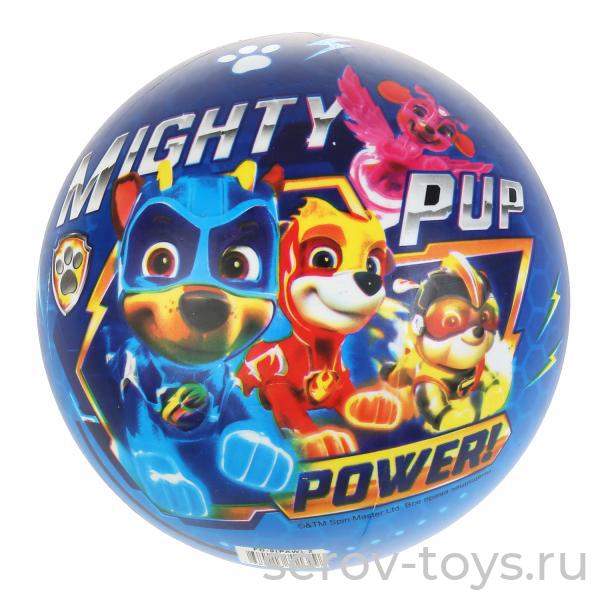 Мяч ПВХ 23см FD-9(PAW)-2 Щенячий патруль в сетке Играем вместе