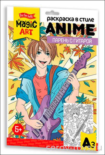 Раскраска ANIME Парень с гитарой 05147ДК формат А3