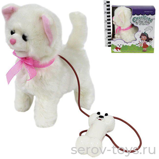 Кошка 2790301Y на д/у  ходит, мяучет в кор